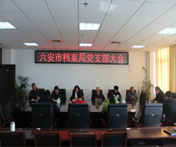 党支部大会1.jpg